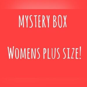 Womens plus size mystery box size 3X mixed brands